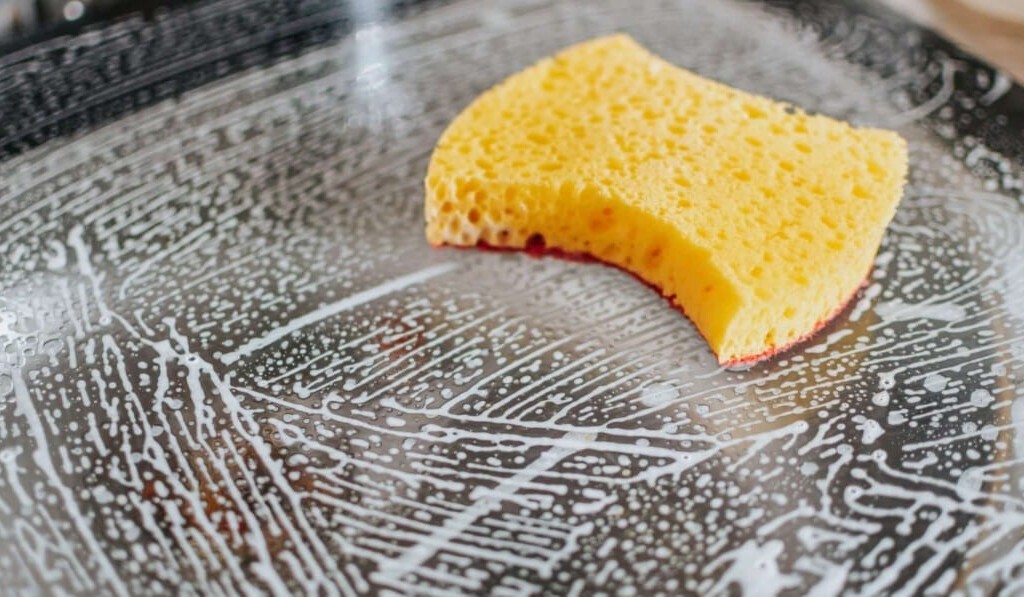 Dream sponge - dream meaning sponge