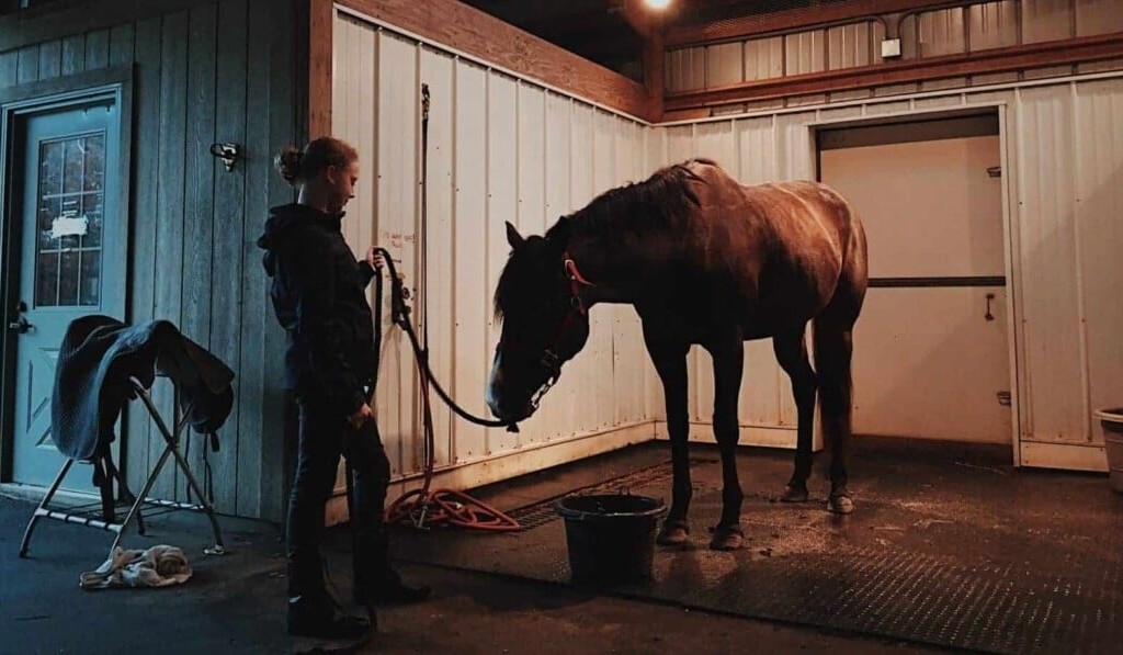 Dream stable - dream meaning stable