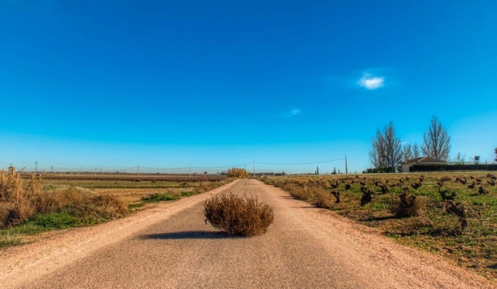 Dream steppenroller or tumbleweed - dream meaning steppenroller or tumbleweed