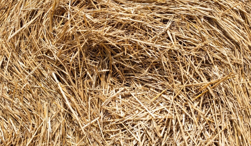 Dream straw - dream meaning straw