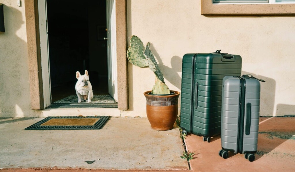 Dream suitcase - dream meaning suitcase