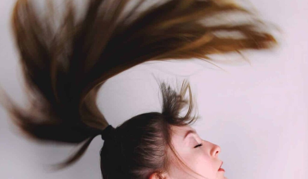 Dream tail (in your hair) - dream meaning tail (in your hair)