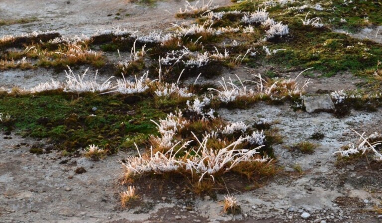 Dream thaw or thaw - dream meaning thaw or thaw