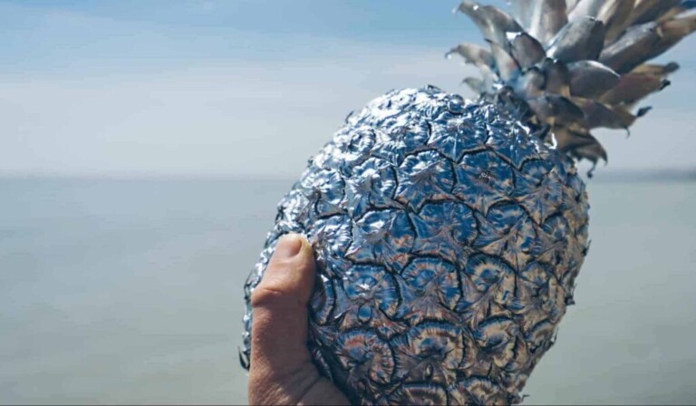 Dream thumb - dream meaning thumb