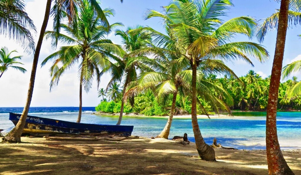 Dream tropical - dream meaning tropical