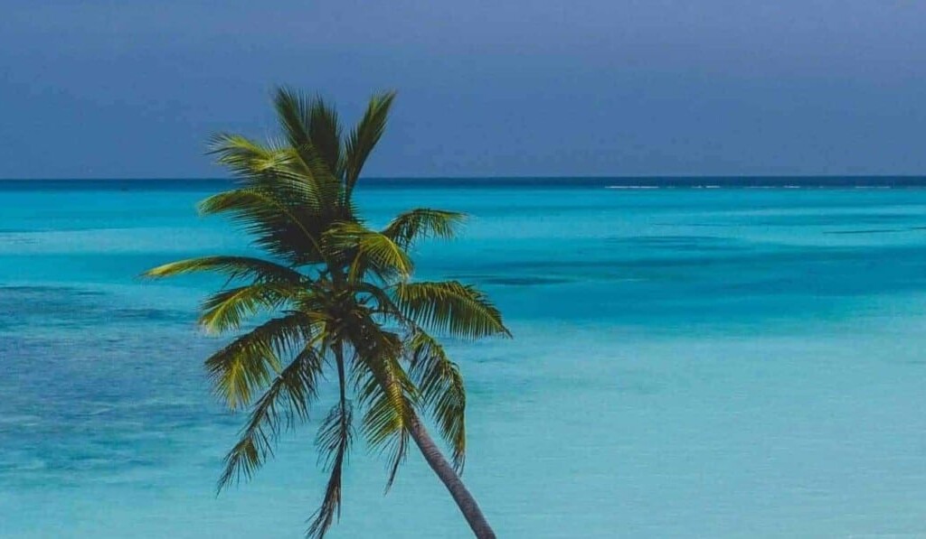 Dream tropical island - dream meaning tropical island