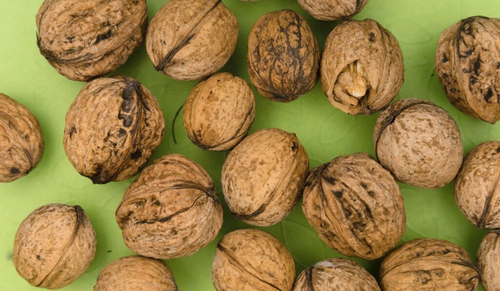 Dream walnut - dream meaning walnut