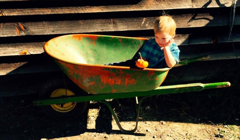 Dream wheelbarrow - dream meaning wheelbarrow