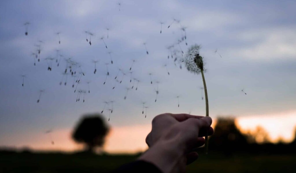Dream wind - dream meaning wind