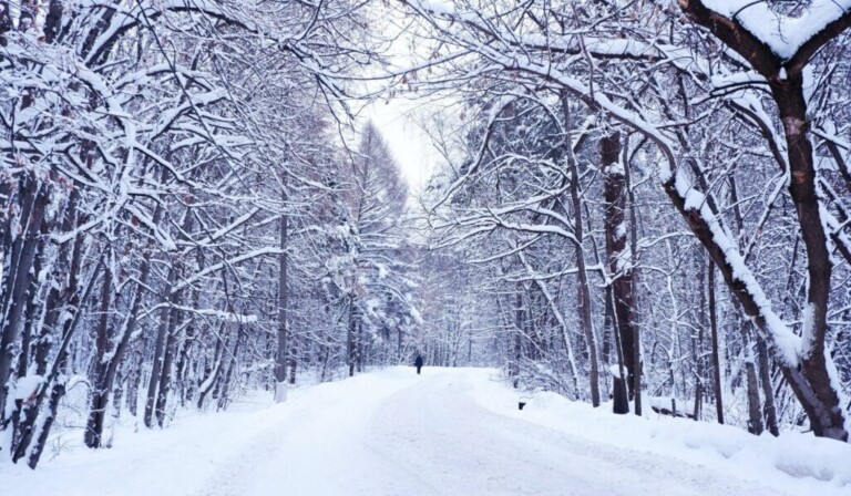 Dream winter - dream meaning winter