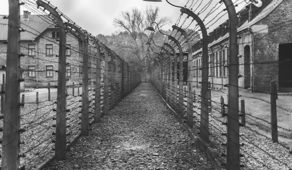 Dröm Hitler - drömbetydelse Hitler