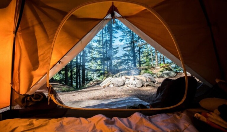 Droom camping • droom betekenis camping • droom uitleg op dromen.site