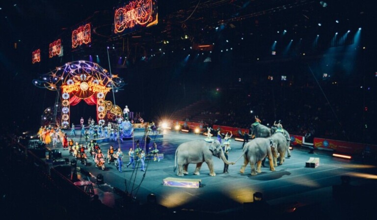 Droom circus • droom betekenis circus • droom uitleg op dromen.site