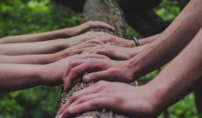 Droom hand • droom betekenis hand • droom uitleg op dromen.site