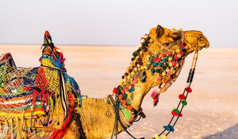 Droom India • droom betekenis India • droom uitleg op dromen.site