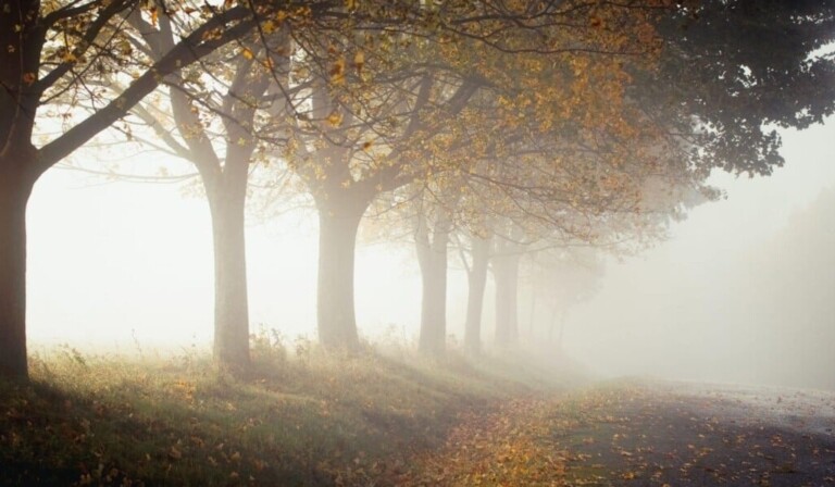 mist of nevel