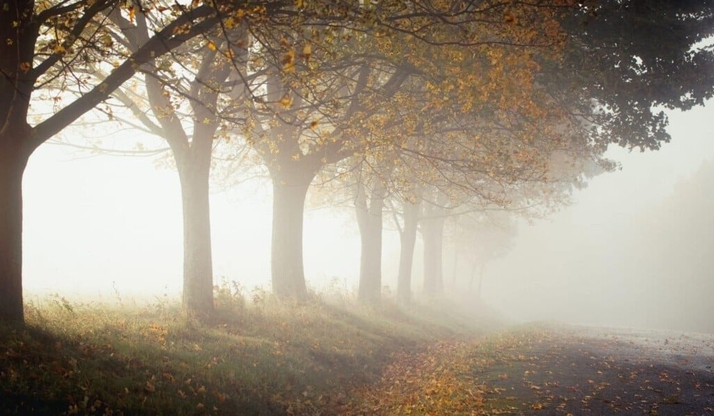 mist of nevel