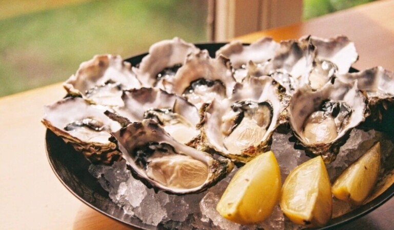 Droom oesters • droom betekenis oesters • droom uitleg op dromen.site
