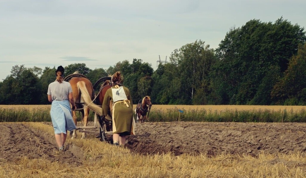 Droom ploeg • droom betekenis ploeg • droom uitleg op dromen.site