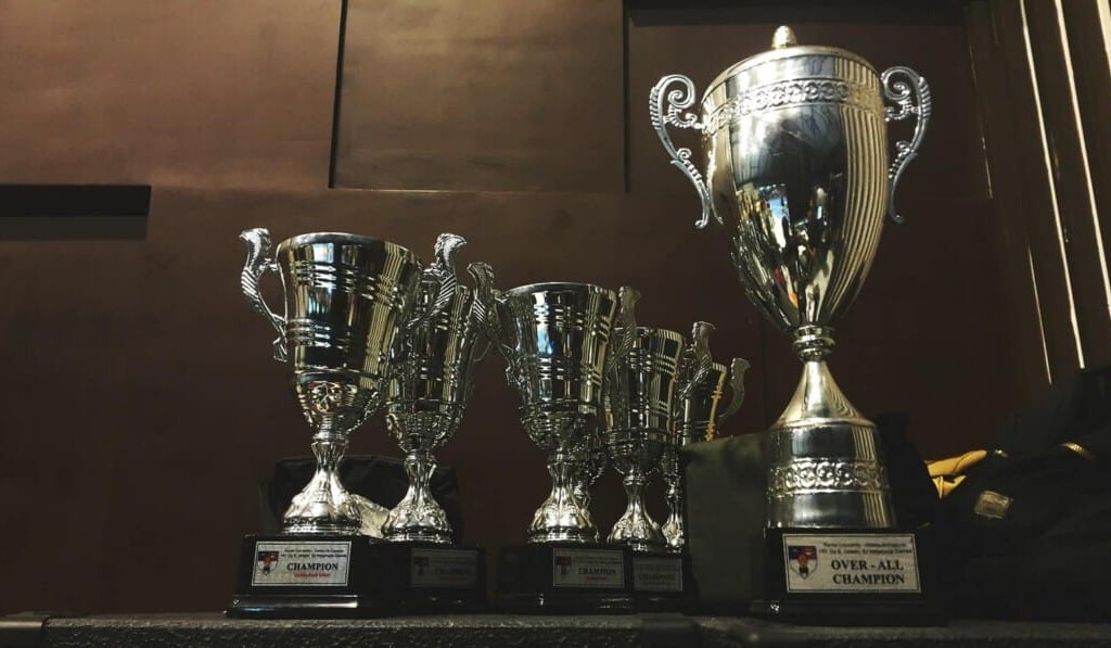 Droom prijs • droom betekenis prijs • droom uitleg op dromen.site