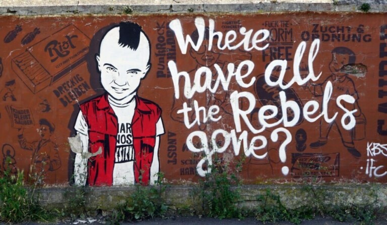 Droom rebel • droom betekenis rebel • droom uitleg op dromen.site