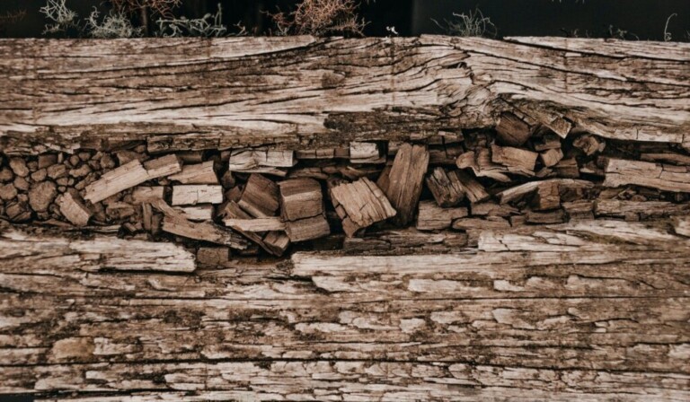 Droom splinter • droom betekenis splinter • droom uitleg op dromen.site