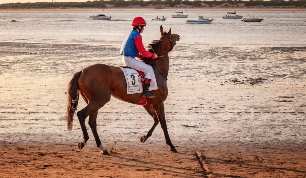 jockey