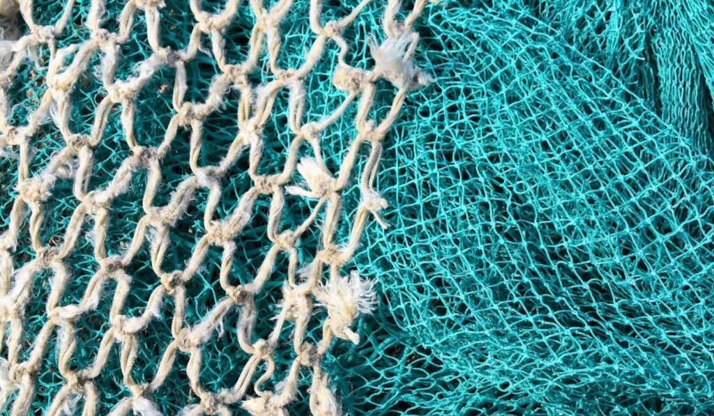 Mimpi jaring ikan - mimpi makna jaring ikan