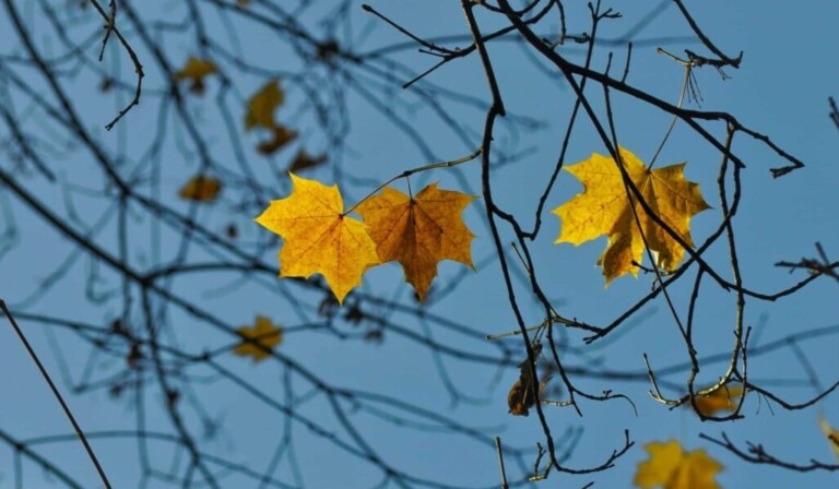 november