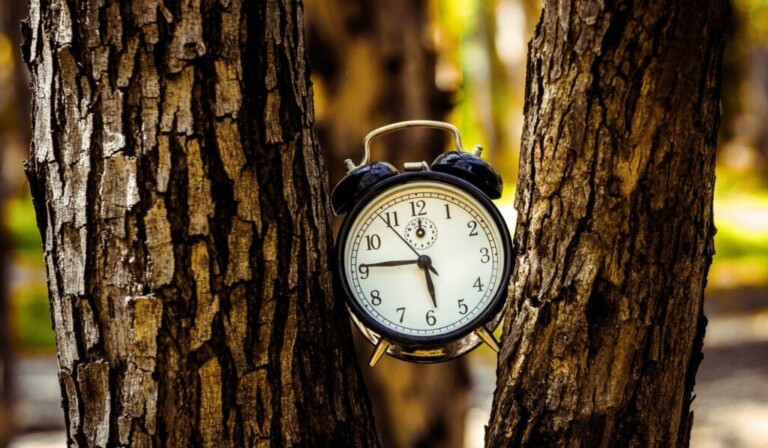 Sueño alarma - sueño significado alarma