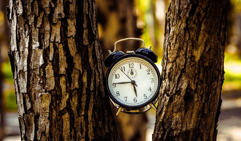 Sueño alarma - sueño significado alarma