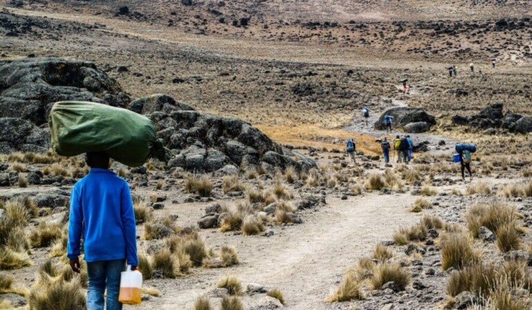 Sueño flautín o portero - sueño significado flautín o portero