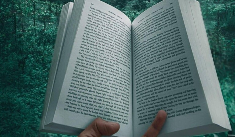 Sueño novela - sueño significado novela