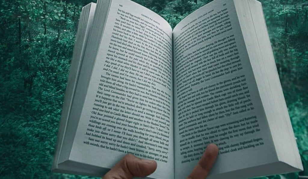 Sueño novela - sueño significado novela