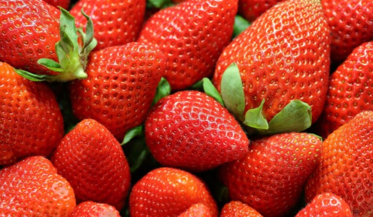 Erdbeeren