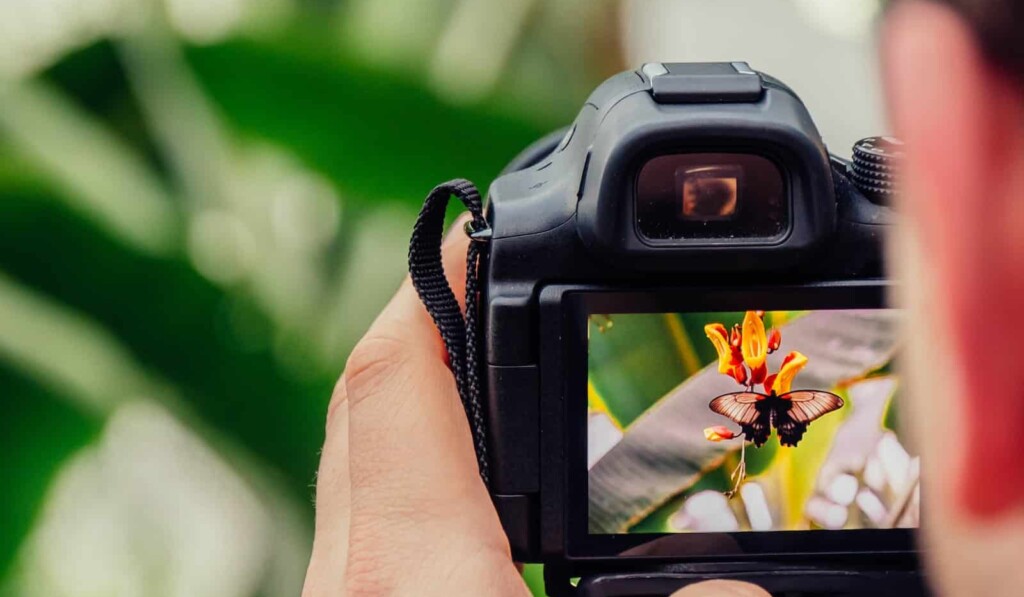 Unenäo fotograafia - unenäo tähendus fotograafia