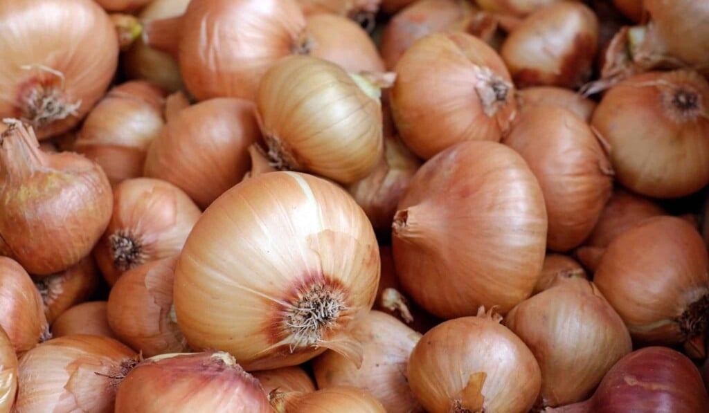 Dream onions - dream meaning onions