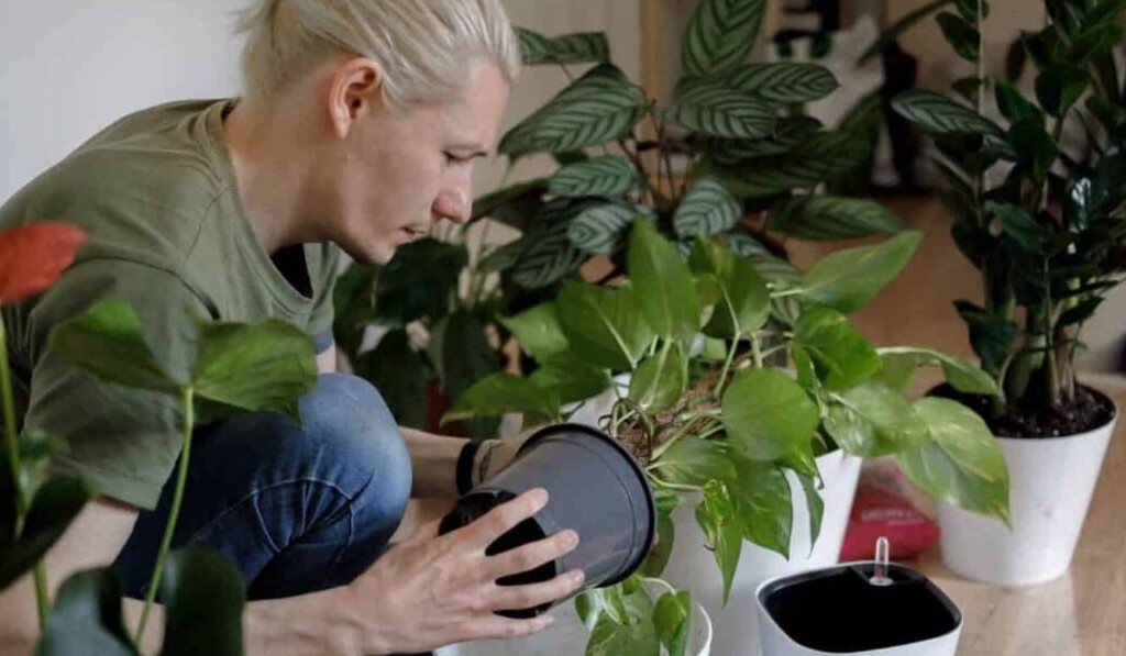 Dröm uppgift eller syssla - drömbetydelse uppgift eller syssla