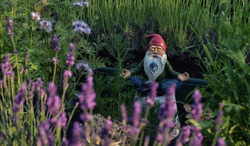 gnome