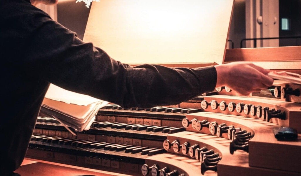 organ