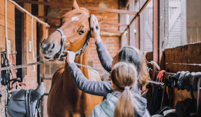 Sognare di strigliare un cavallo - significato del sogno strigliare un cavallo