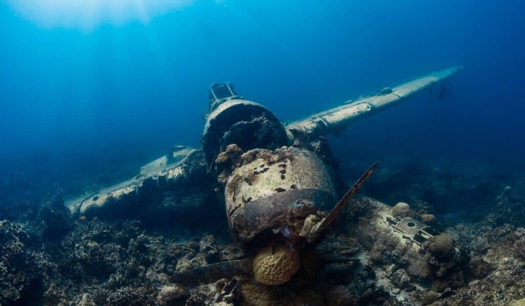 Sognare incidente aereo - significato dei sogni incidente aereo