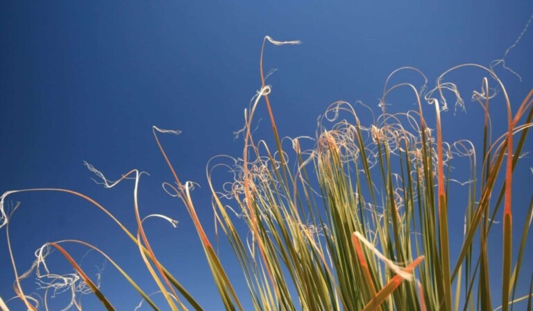 Sognare luglio - significato dei sogni luglio
