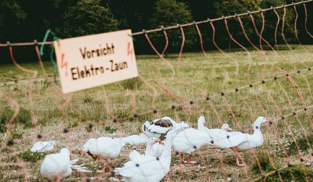 Sognare recinzione elettrica - significato dei sogni recinzione elettrica