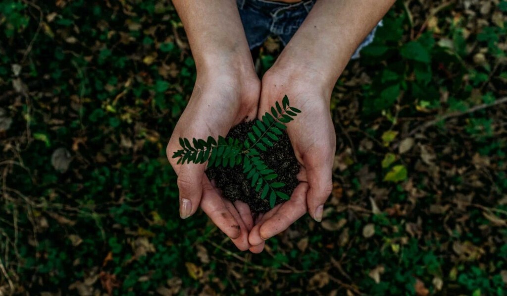 Sognare terra - significato dei sogni terra