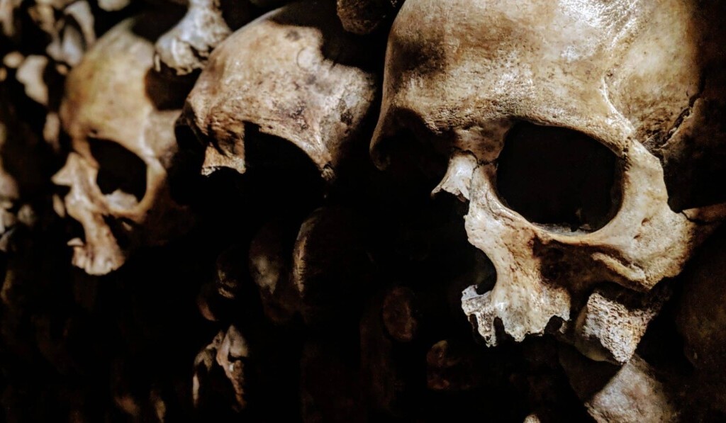 Sogno cannibalismo - significato del sogno cannibalismo