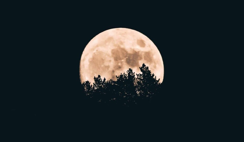 Sogno notte - significato del sogno notte