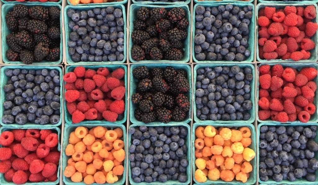 Traum Beeren - Traum Bedeutung Beeren