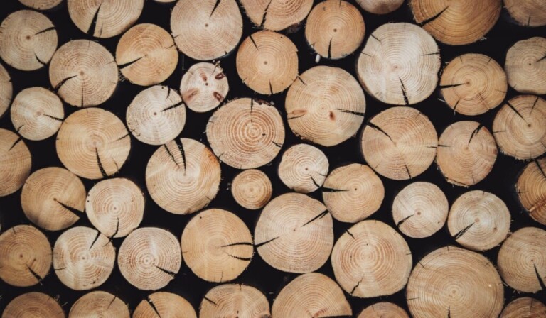 Holz
