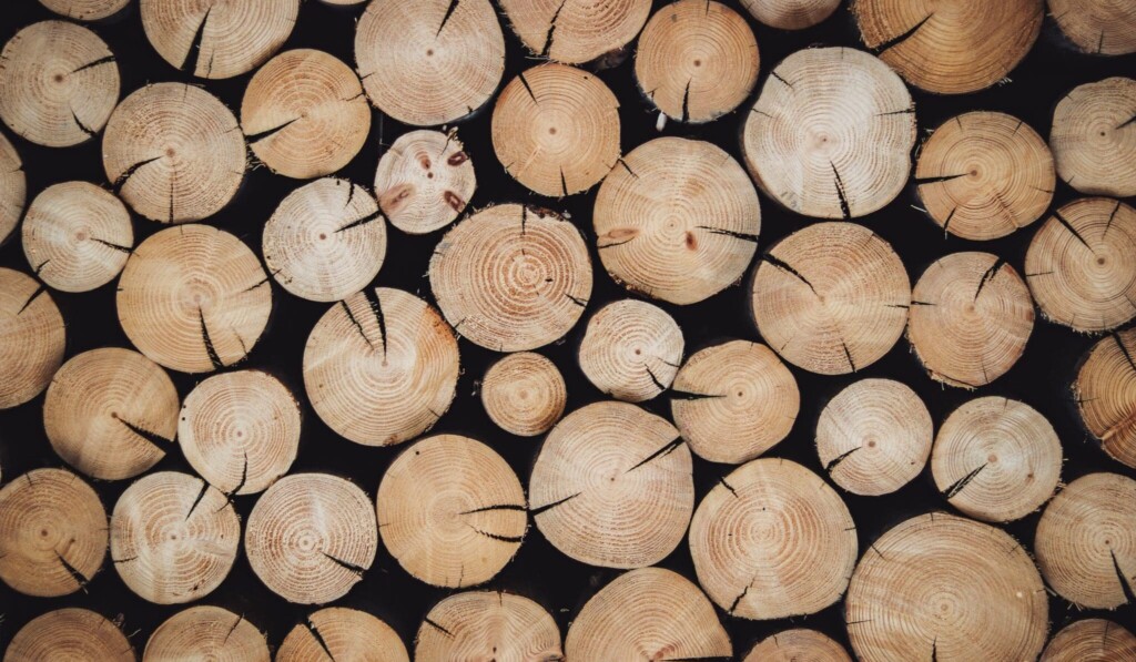 Holz